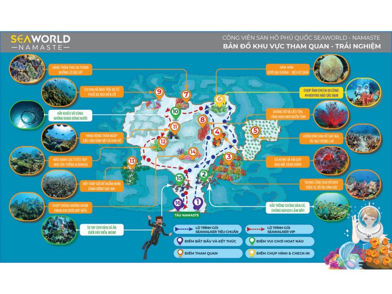 Phú quốc seawalker đi bộ dưới biển phú quốc combo seawalker & hon thom cable car - aquatopia water park 2021