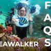 Những điều cần biết khi tham gia đi bộ dưới biển tại công viên san hô phú quốc 2021
